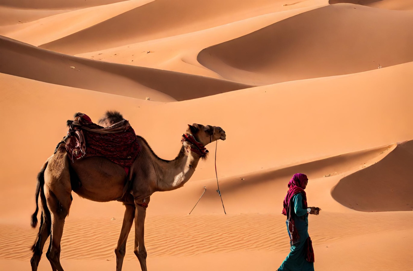 「世界の祭り・イベント巡り：魅惑のモロッコ砂漠音楽祭体験」 | TREND WORDAI