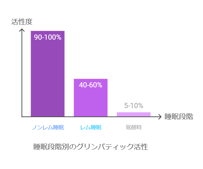 睡眠ステージ別のグリンパティック活性