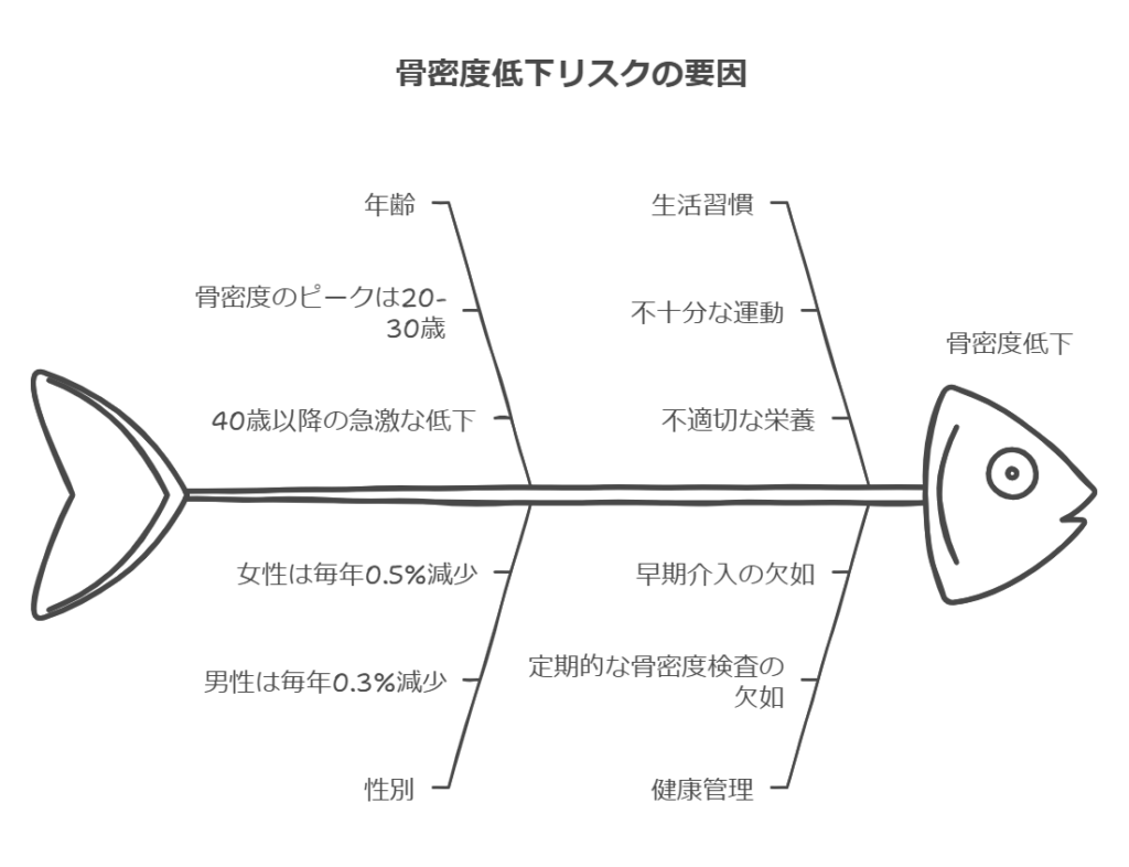 骨密度低下リスクの要因