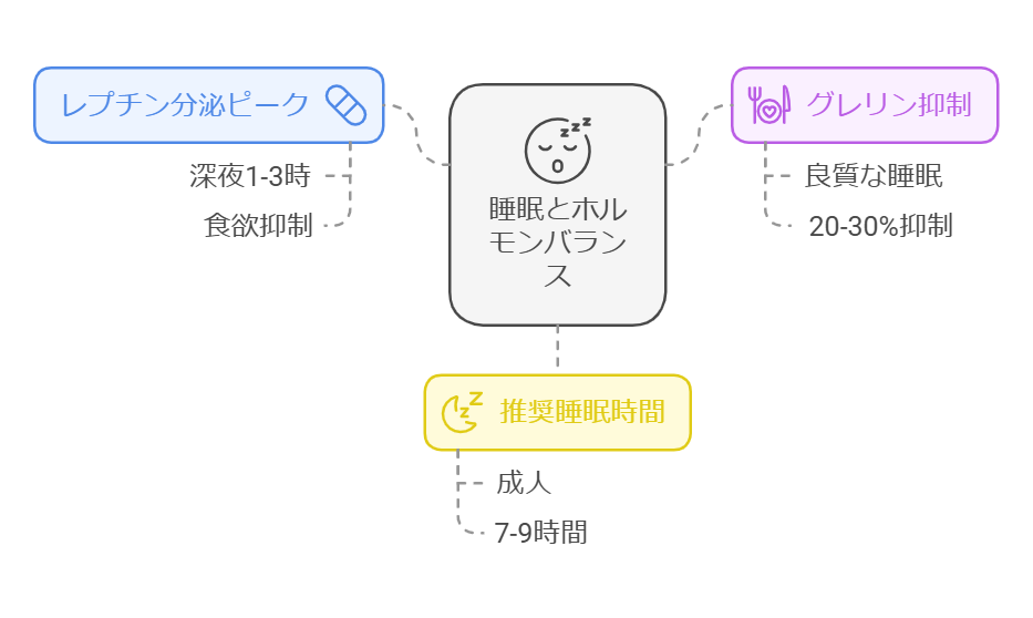 ホルモン分泌の日内リズム