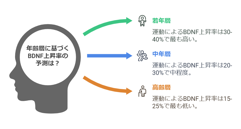 年齢層別のBDNF反応