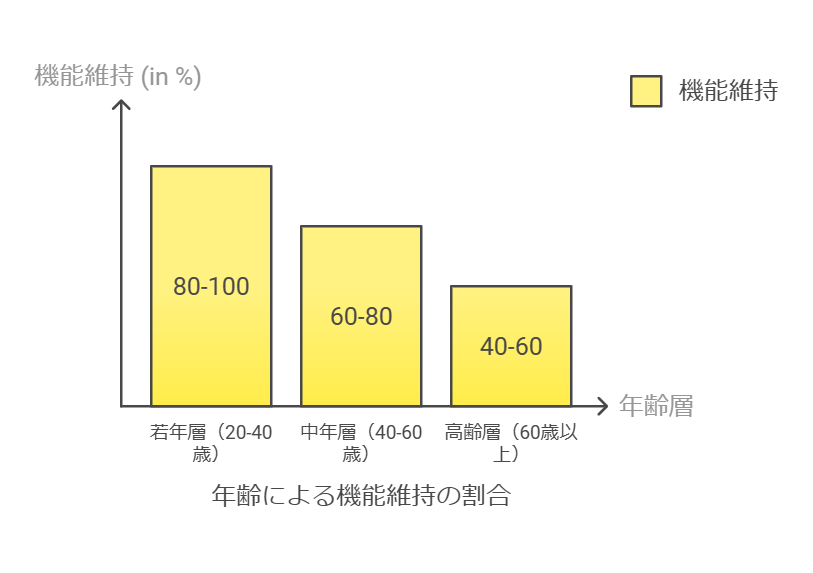 年齢によるグリンパティックシステムの影響