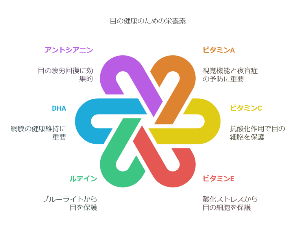 目の健康を支える栄養素