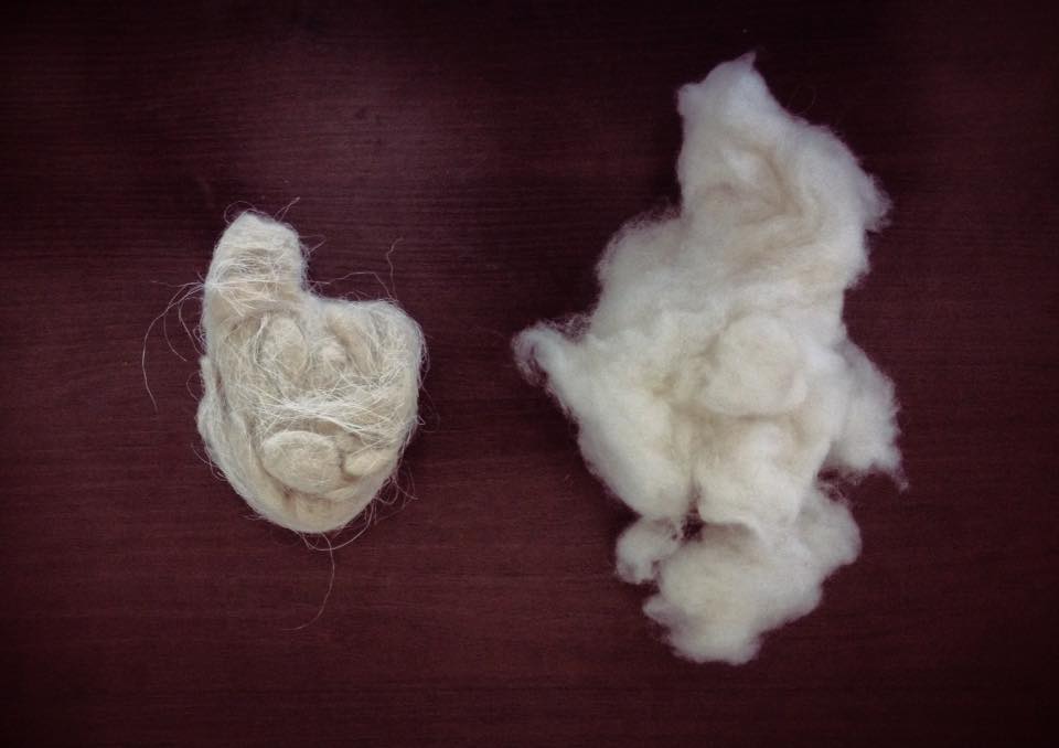 パシュミナ原毛と脱毛後の比較